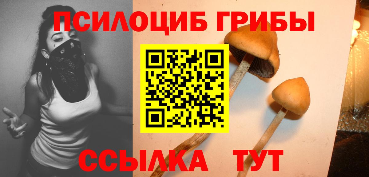 Галлюциногенные грибы мицелий Удомля