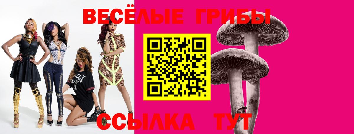 Псилоцибиновые грибы Psilocybe  Галлюциногенные грибы Cubensis  где можно купить   Удомля  Вход с VPN 